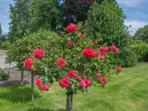 Landurlaub Regenholz in Kronsgaard